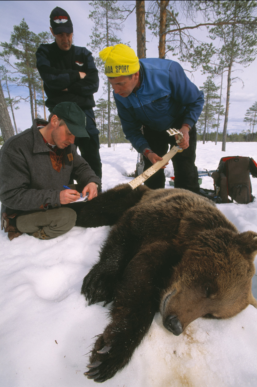  -  © Staffan Widstrand