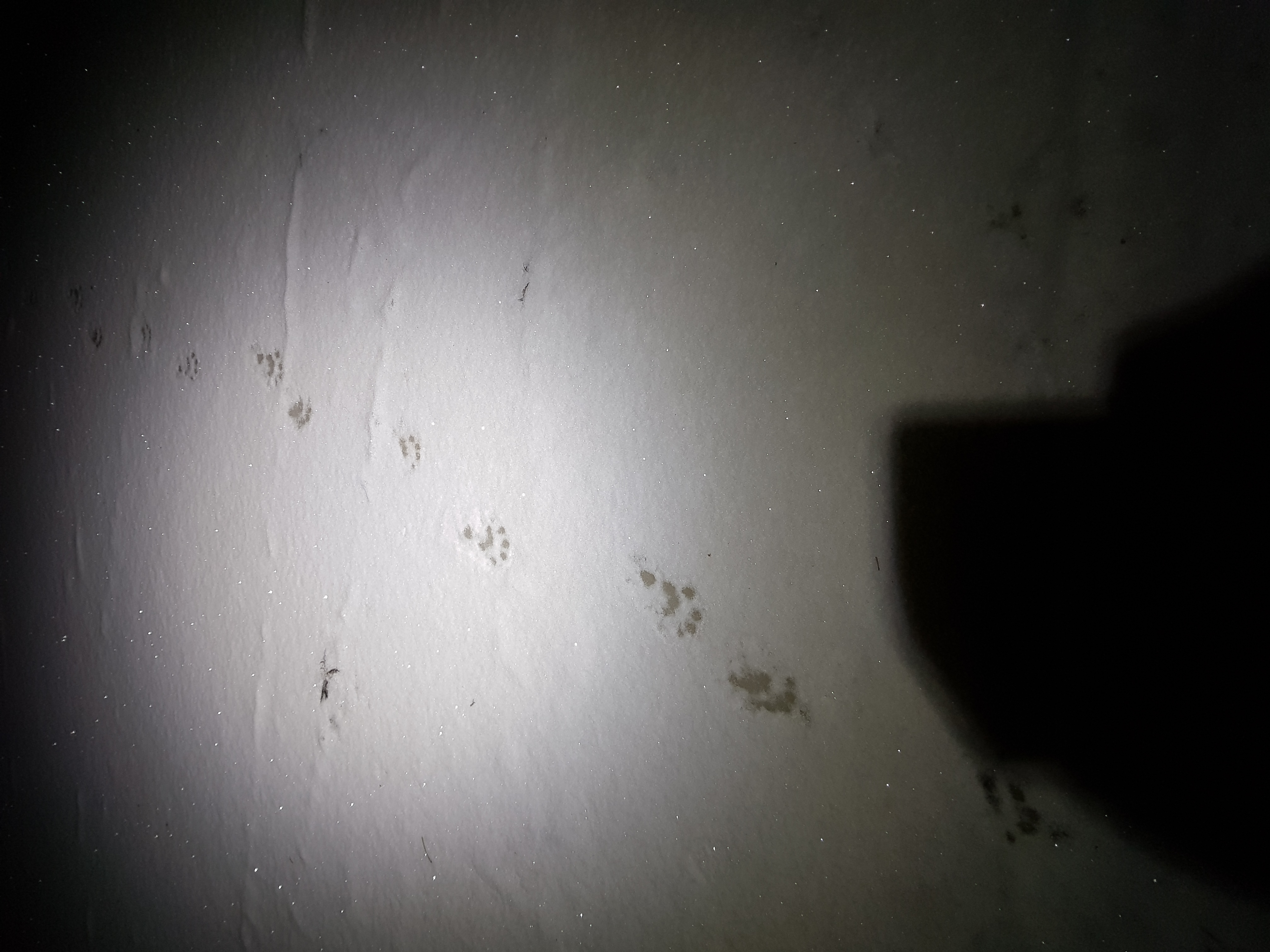  -  © Hans Blomgren/Länsstyrelsen i Gävleborg