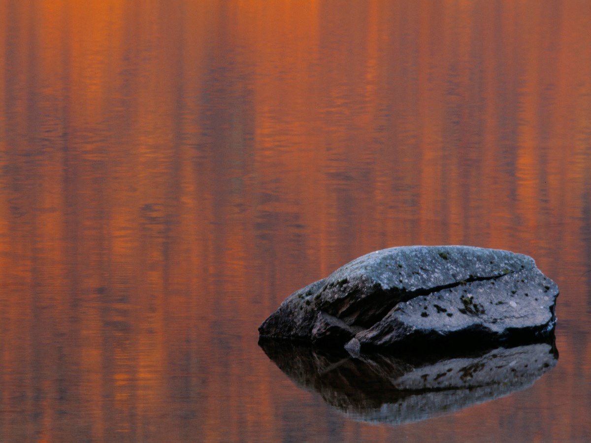 Sten i vatten -  © Staffan Widstrand
