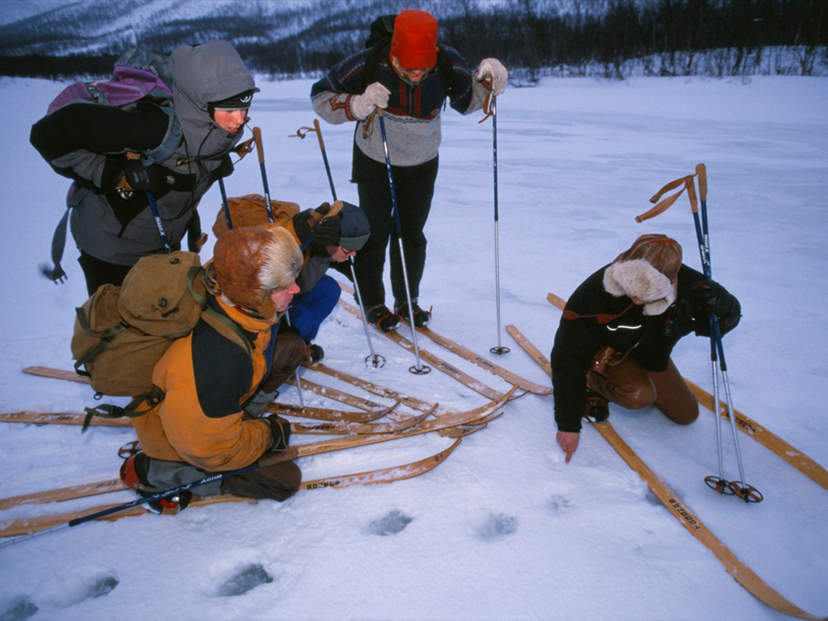 Människor tittar på spår - © Staffan Widstrand Människor tittar på spår