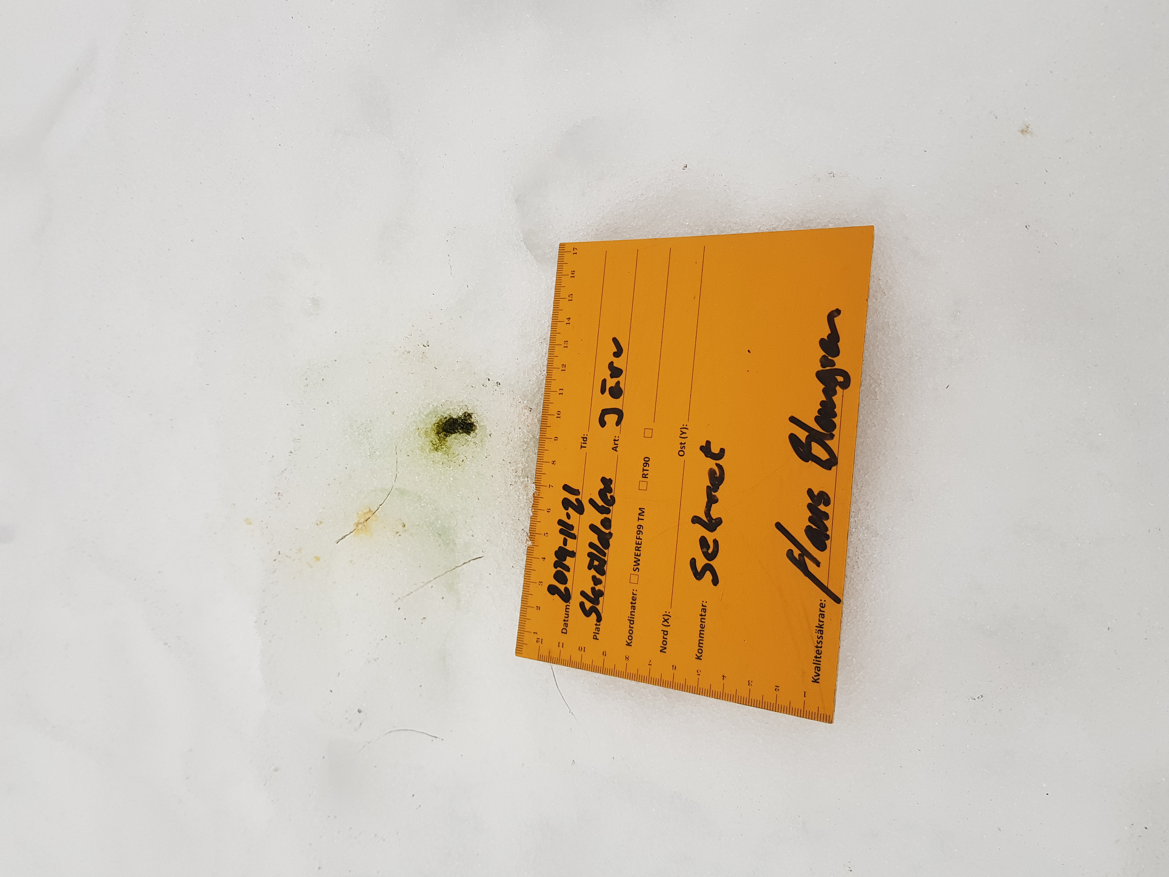  -  © Hans Blomgren/Länsstyrelsen i Gävleborg