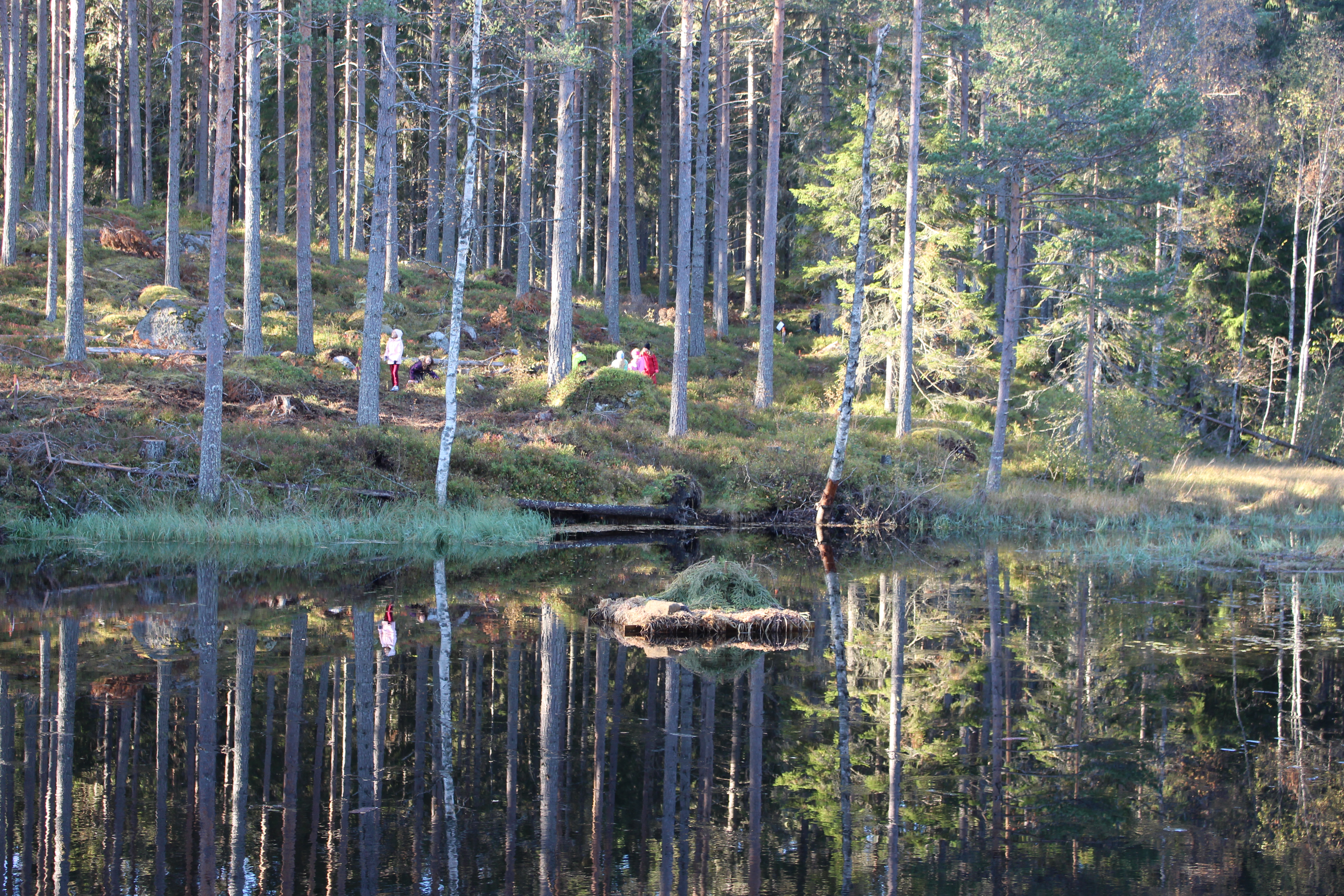 Barn bakom Badtjärn