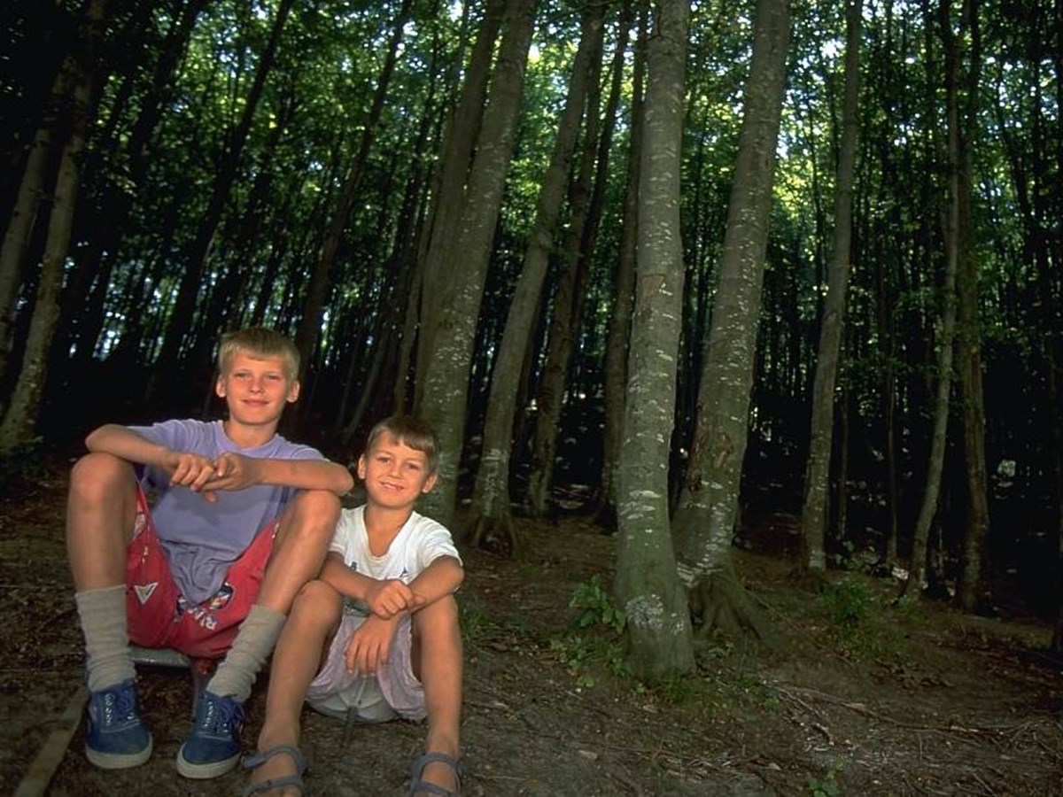 Pojkar i skogen - © Staffan Widstrand Pojkar i skogen