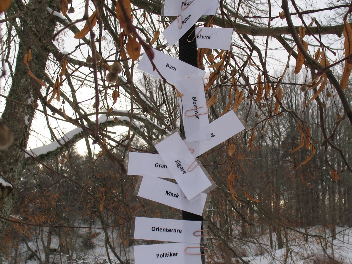 Vem har mest rätt till skogen Vem har mest rätt till skogen