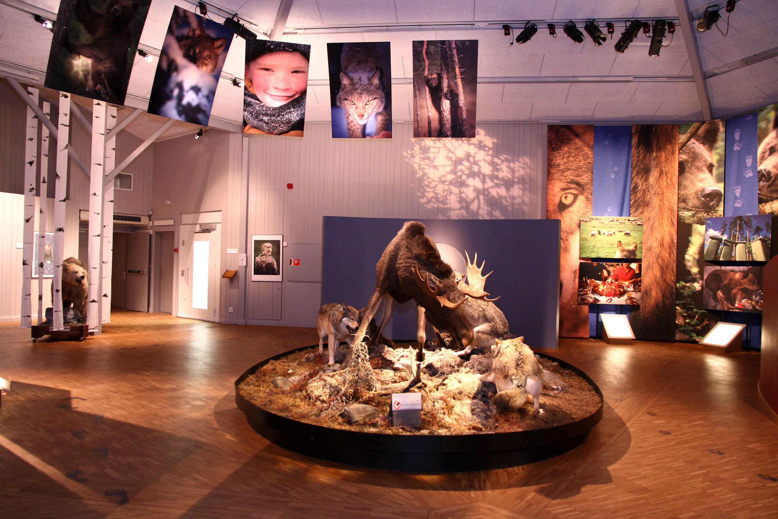  -  © Sara Wennerqvist