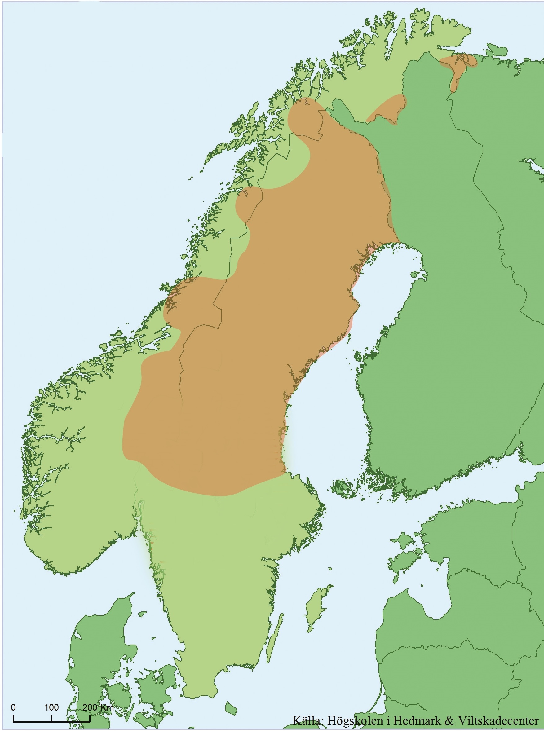 Det röda området på kartan visar var flest björnar finns. Men de kan dyka upp på andra ställen också! 