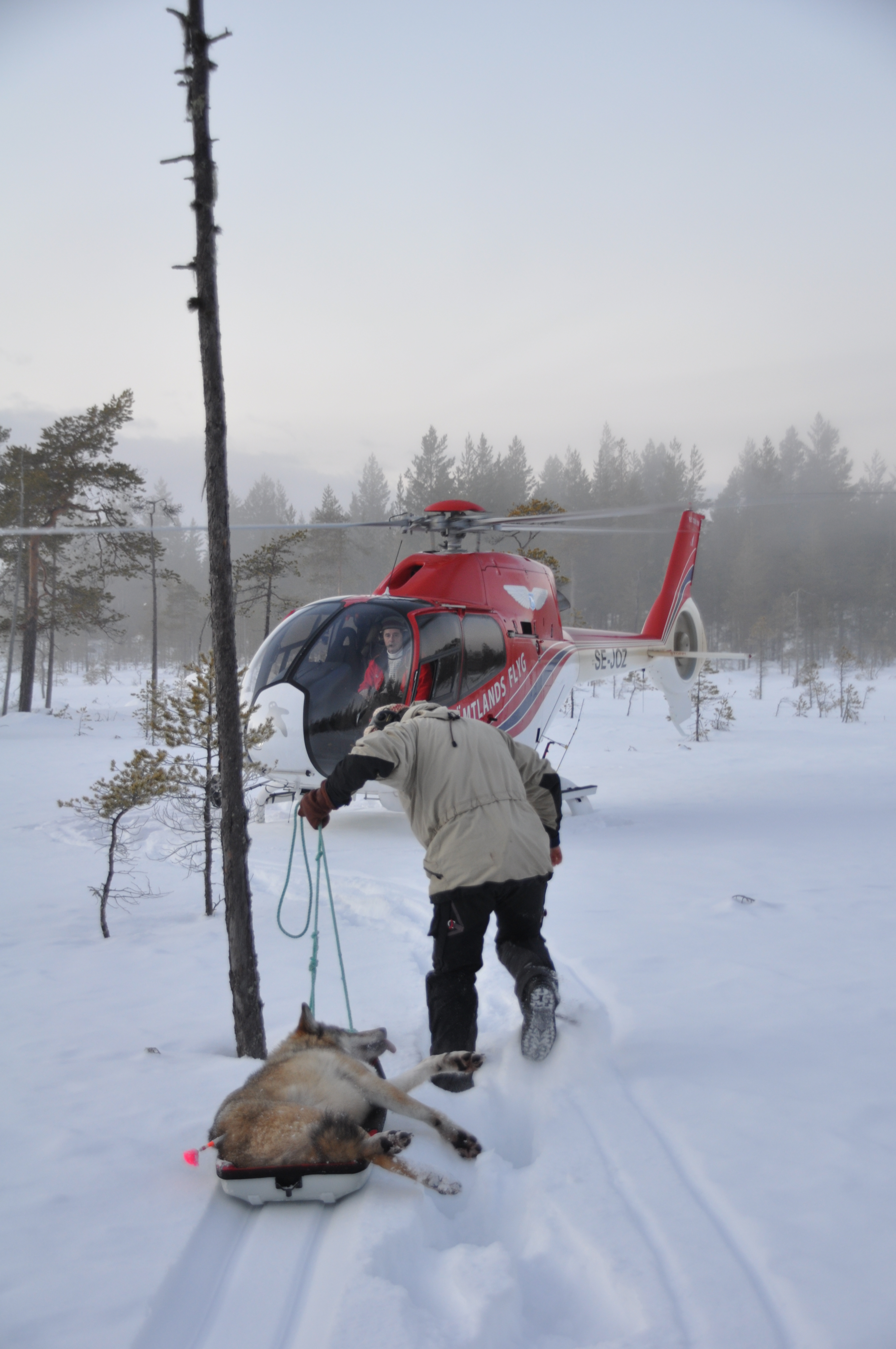  -  © Jon M Arnemo/Skandulv