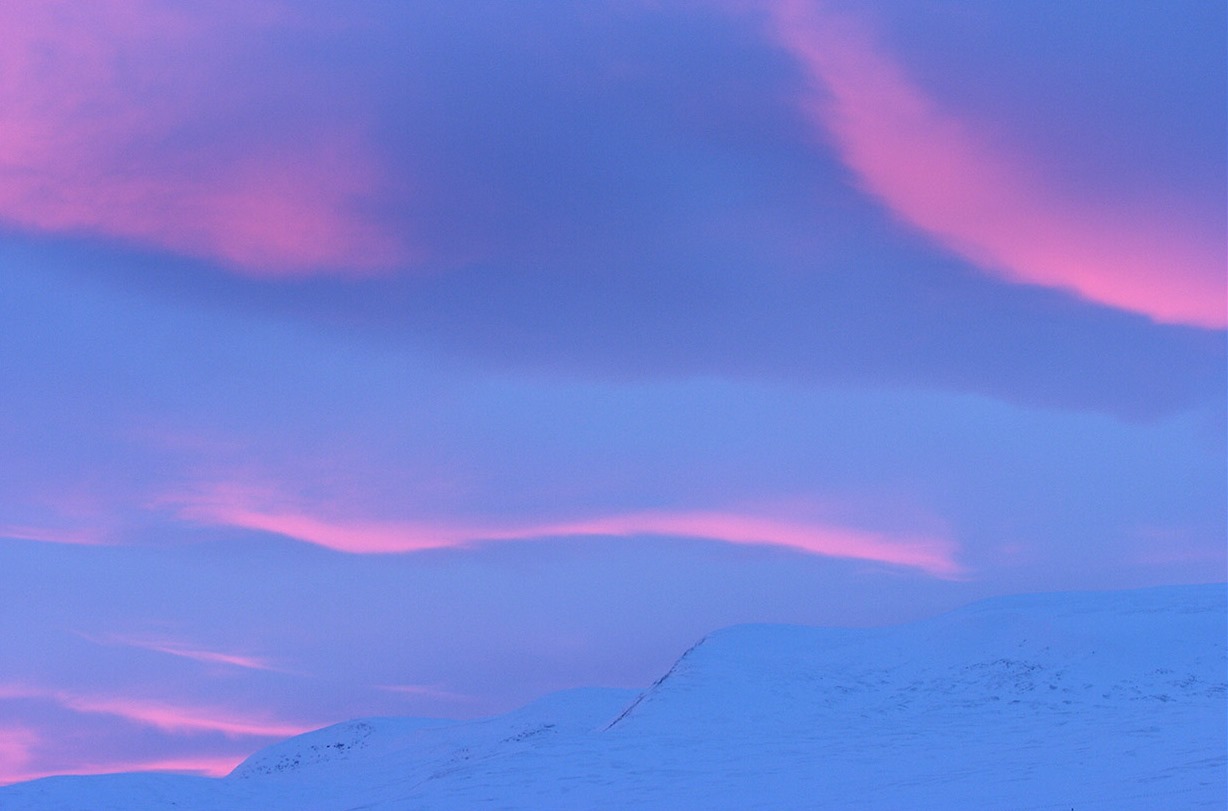  -  © Staffan Widstrand