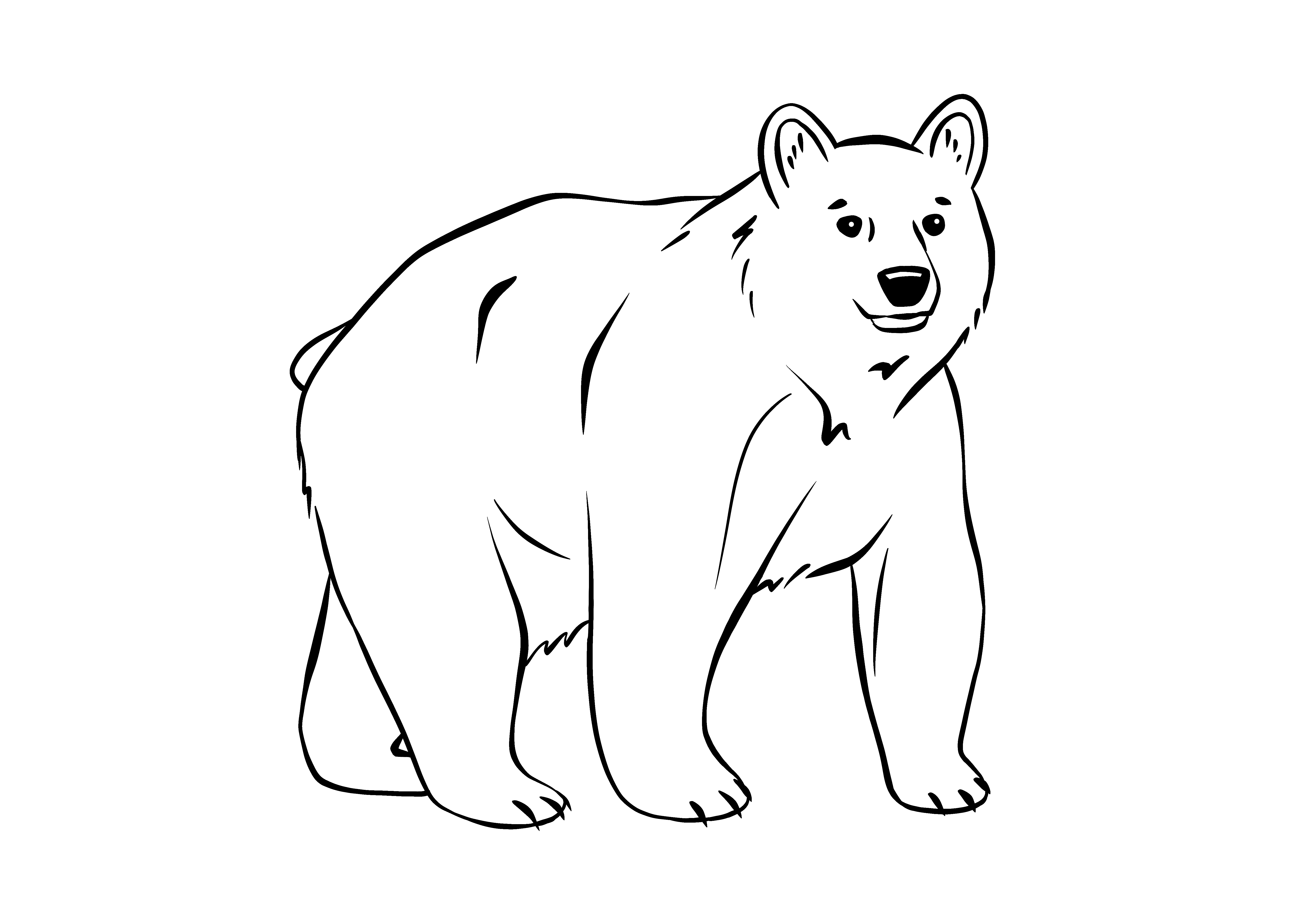 Björnfärglägga