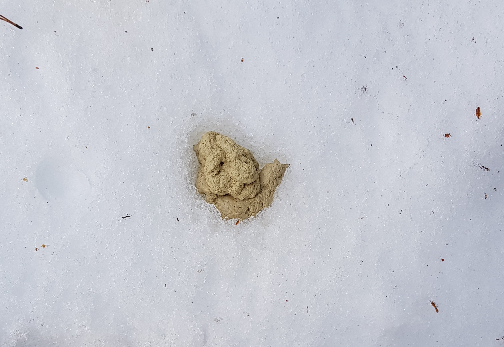  -  © Hans Blomgren/Länsstyrelsen i Gävleborg