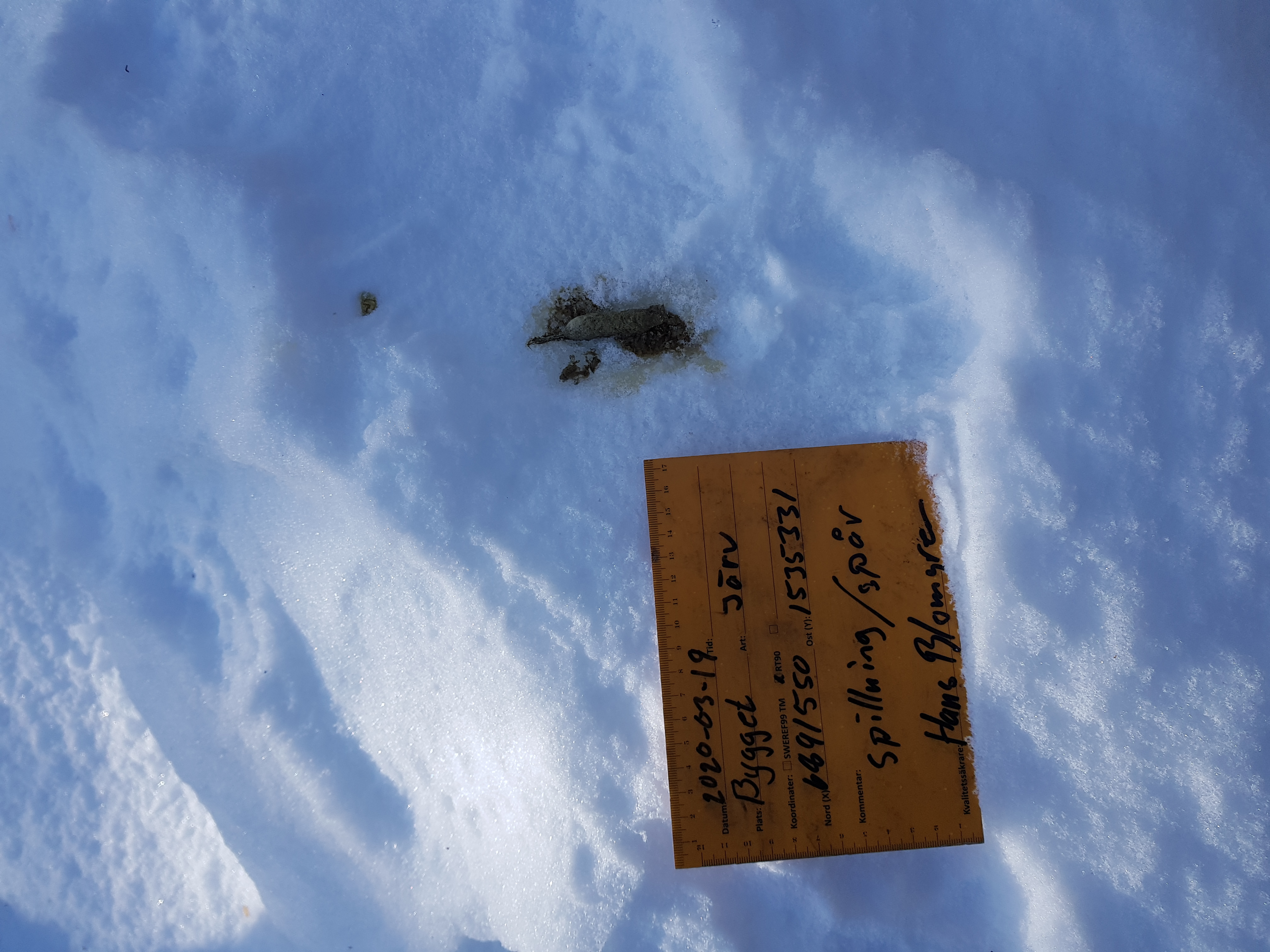  -  © Hans Blomgren/Länsstyrelsen i Gävleborg