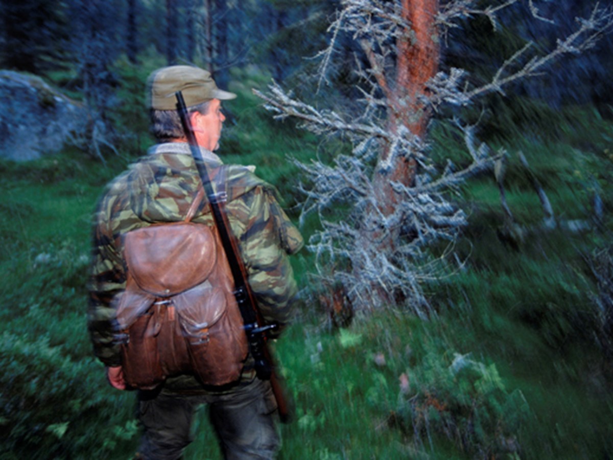 Jägare bakifrån - © Staffan Widstrand Jägare bakifrån