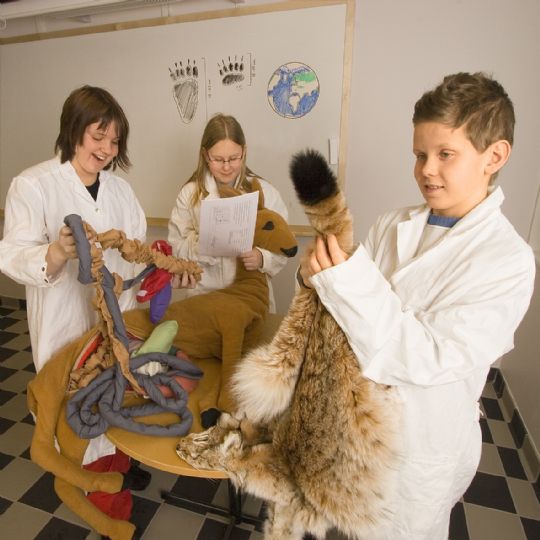  -  © Glenn Mattsing