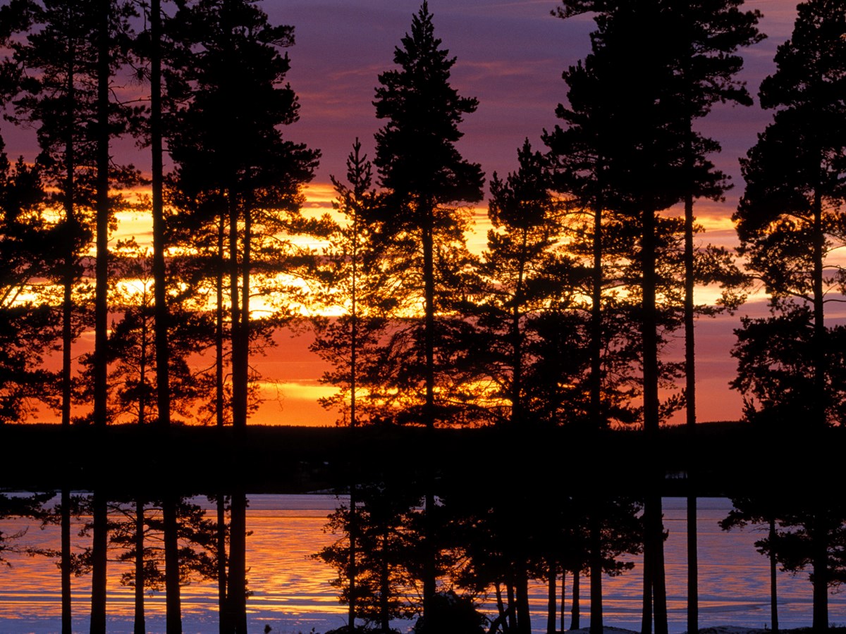 Solnedgång över sjö - © Staffan Widstrand Solnedgång över sjö