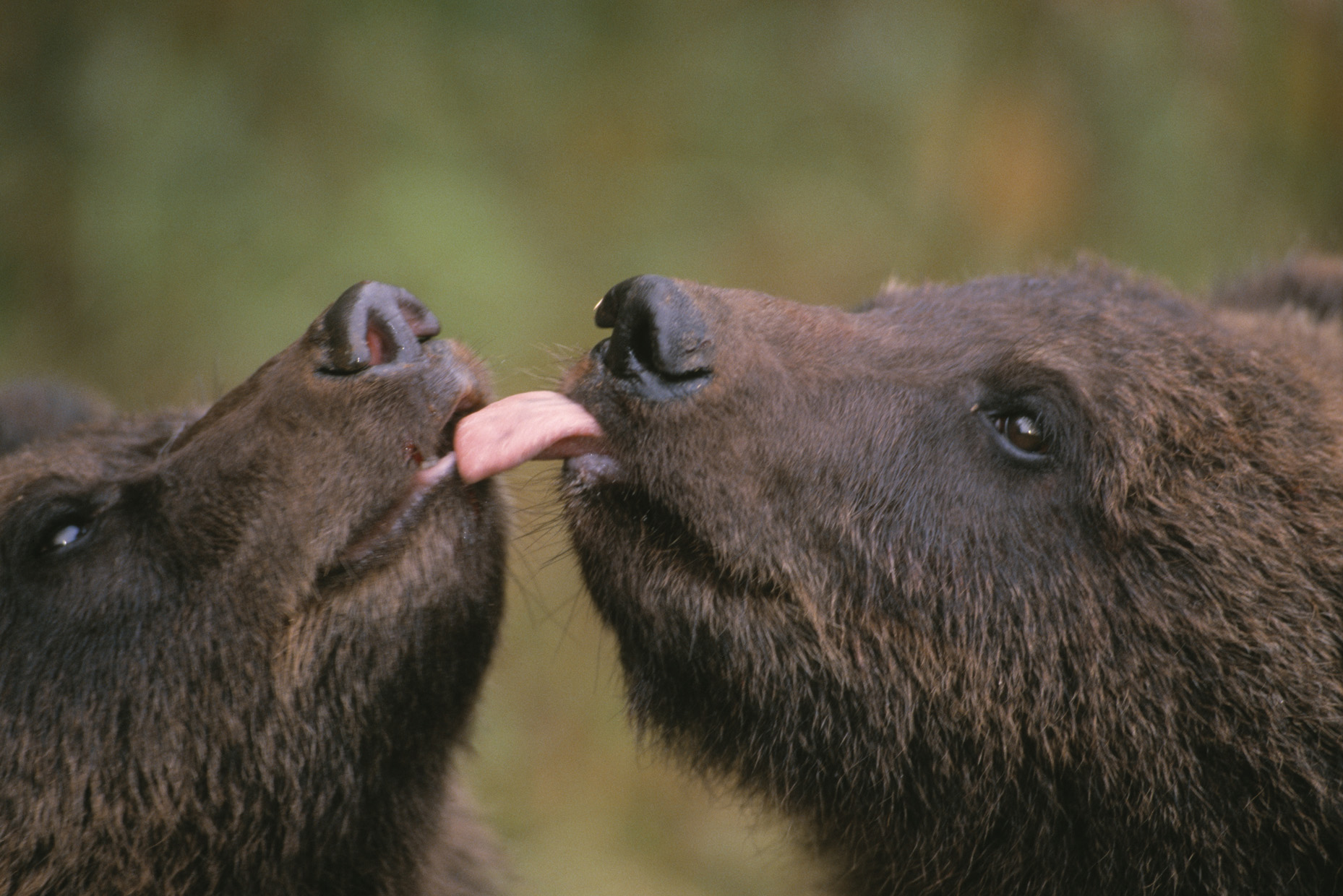  -  © Staffan Widstrand